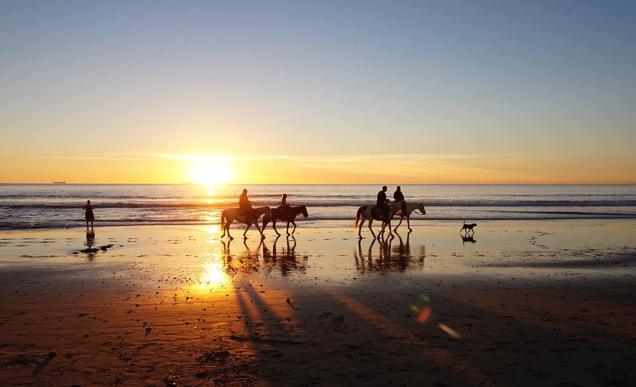 Greatest Horseback Riding Spots In San Diego