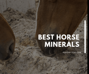 Best Horse Mineral Supplement – Equine Ridge