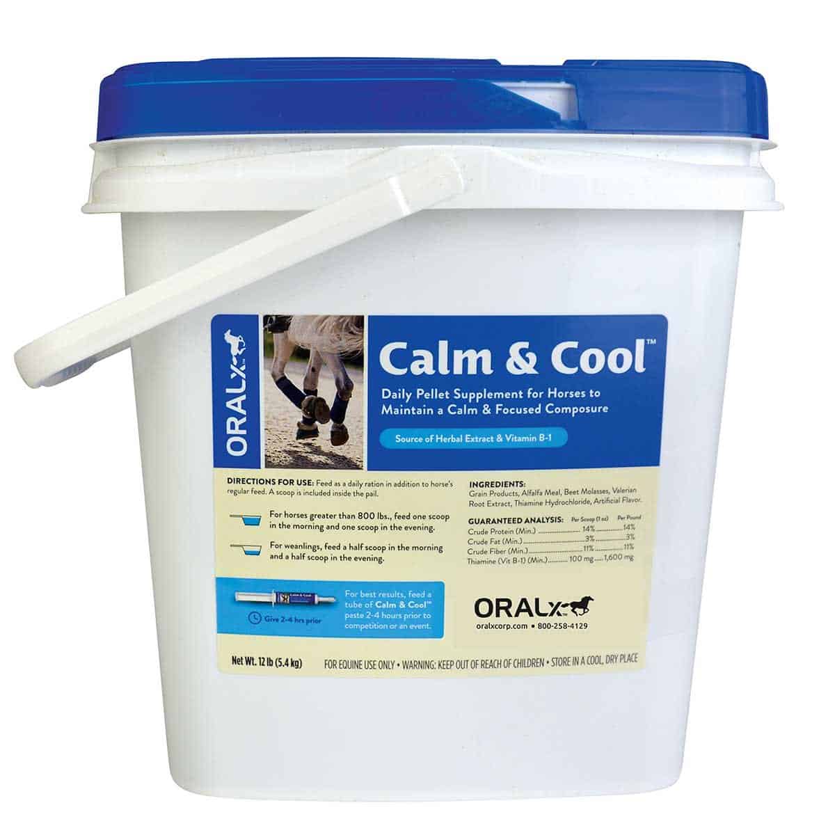 Best Calming Paste For Horses Equine Ridge