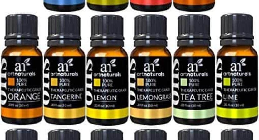 Best Essential Oils for Horses [2019] [Recommended Equine Essential Oil
