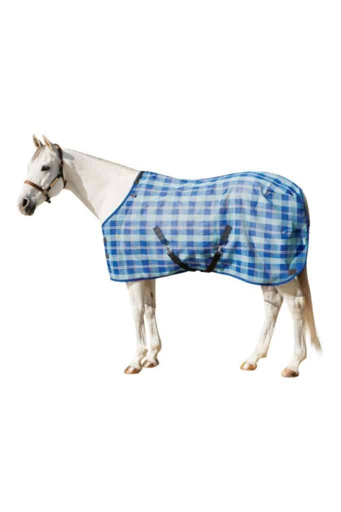 Best Fly Sheets for Horses Equine Ridge