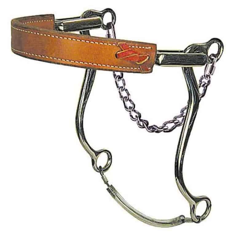 Best Bitless Bridle and Hackamore Equine Ridge